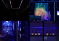 杭州钱塘区下沙街道附近ktv招聘包厢服务员,(不用订房任务)