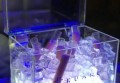 深圳新文案招聘（深圳创意文案招募新视角）